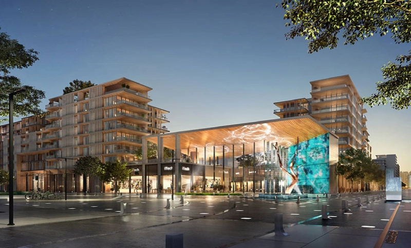 Saadiyat Island Grove