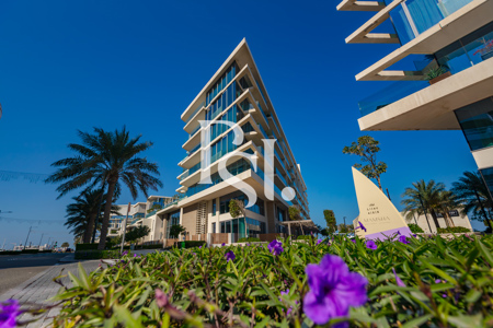 Mamsha Al Saadiyat icon