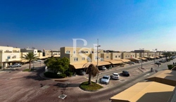 Units in Contemporary Village