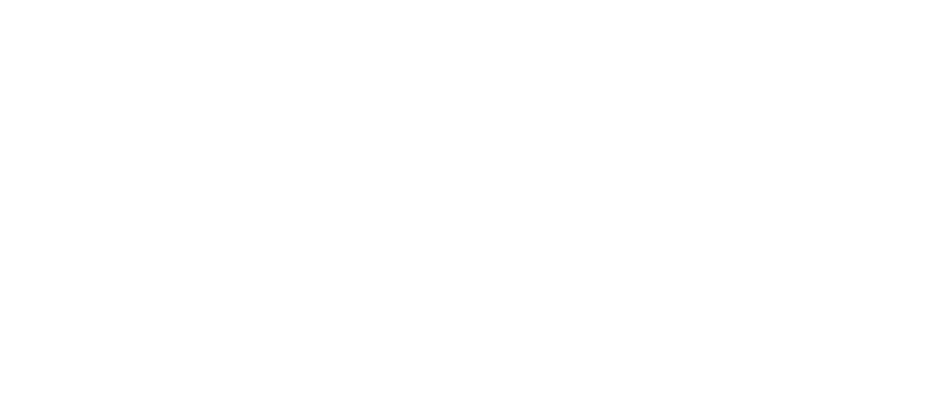 anya-logo